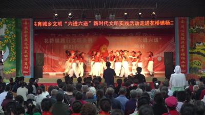 践行文明条例  花桥镇“六进六送”文艺演出点亮乡村