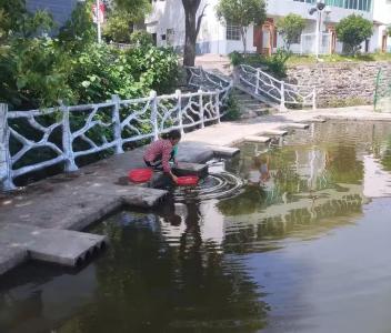 余川镇徐余冲村：农村生活污水治理行动助推村庄环境提“颜”增“值”