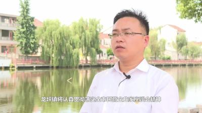 龙坪镇“三头并进”，争当优化营商环境“头把镰”