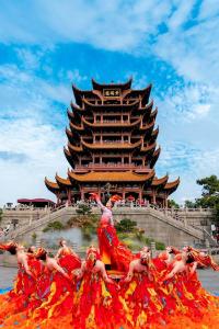 写在黄鹤楼重建开放40周年之际：黄鹤归来四十载 千年名楼映新潮