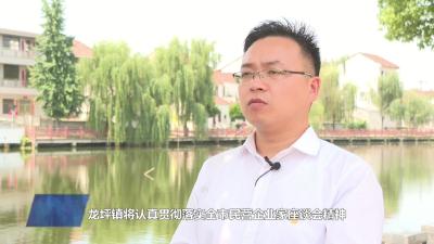 龙坪镇“三头并进”，争当优化营商环境“头把镰”