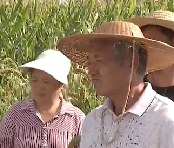习语丨“中国人要把饭碗端在自己手里”