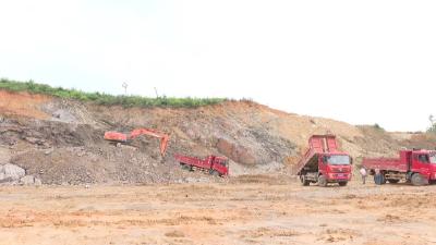 当好排头兵 挺进百强县丨湖北金福来100万羽蛋鸡项目明年元月建成投产