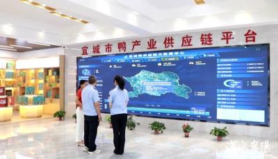 锲而不舍落实中央八项规定精神·办实事解难题丨襄阳：服务升级一小步，便民利企一大步