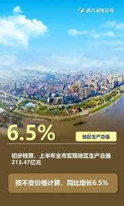 2025年上半年武穴市经济运行情况