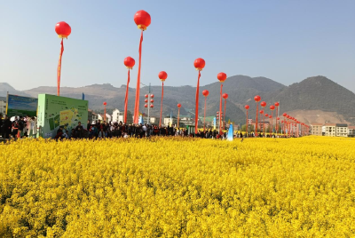 【文明港城巡礼•全国文明村】上桂村：文明新风漾花海 绘就“景村”融合新画卷