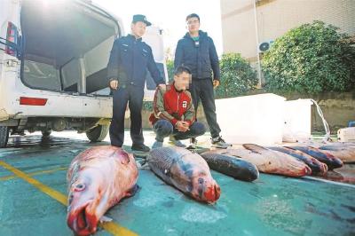一晚狂捞千余斤！这个跨鄂赣两省三市的“捕、运、销”非法捕捞团伙判了
