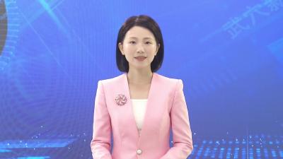 上桂村：文明新风漾花海，绘就“景村”融合新画卷