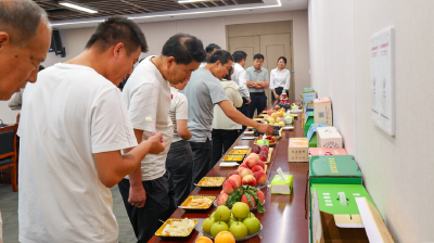 首衡城联农助农：12万亩农田的增收密码，藏着乡村振兴的“孝南答案”