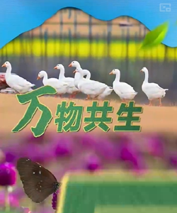 联播+｜万物共生 中国主张
