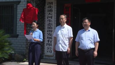 武穴市西游文化产业协会揭牌仪式暨座谈会召开