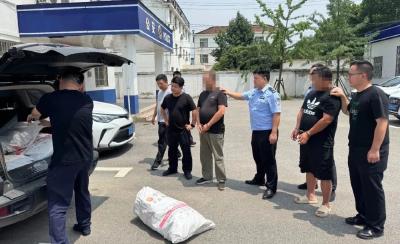 400斤“铜线”竟藏着这样的猫腻.....