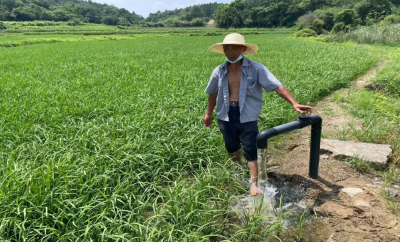 四望镇刘婆店村：抗旱保苗解田“渴”