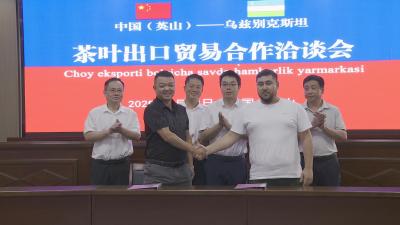 开辟中亚市场 英山县与乌兹别克斯坦签订360万美元茶叶订单