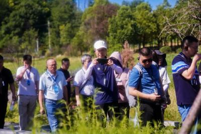 全国的总编辑，为什么来这儿