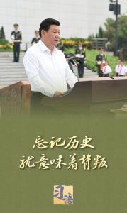 习语丨“以史为鉴、面向未来，共同珍爱和平、维护和平”