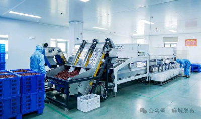 政府搭桥破融资难题 企业获贷启发展新篇