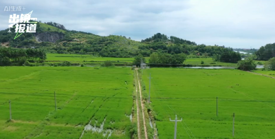 汗”卫农田！武穴供电“满电”出击，干裂的土地“喝”上救命水