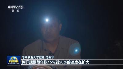 感知生态之变丨母亲河重现生机与活力