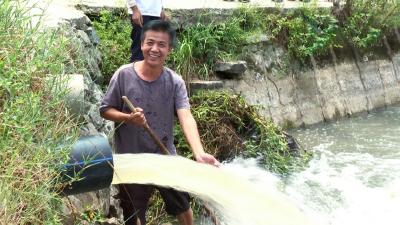 锲而不舍落实中央八项规定精神 | 国网武穴供电公司架抗旱专线护航秋粮生产