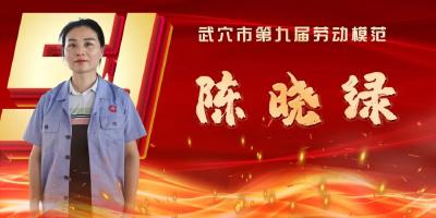 武穴市劳模（先进工作者）风采展示：陈晓绿
