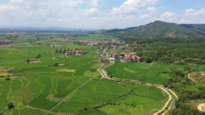 仙人坝→荆竹！花桥镇紧急提水解五千余亩高位田灌溉难题