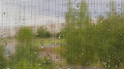 远离登革热 防范花蚊子 专家教你四招除“老窝”