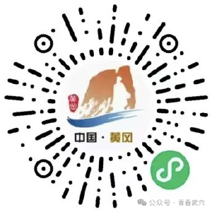 武穴45岁以下人员，线上申办→