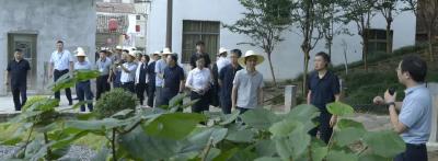 今天，黄冈日报头版显著位置报道武穴这一经验全国推广