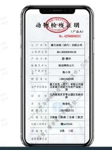 全省首张！武穴签发