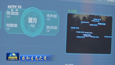 感知生态之变丨母亲河重现生机与活力