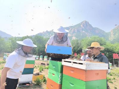 从“案头”到“地头” 从“知见”到“躬行”——远安青年干部在实践淬炼中拔节成长