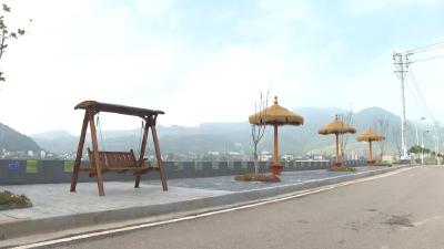 大法寺镇：五村 “手拉手” 共绘乡村振兴新图景