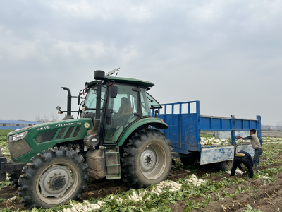 【锲而不舍落实中央八项规定精神】武穴以作风建设硬举措激活乡村振兴新动能 