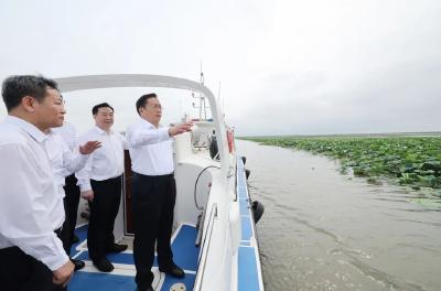 王忠林在洪湖市调研时强调 坚决抓好中央巡视立行立改和中央生态环保督察反馈问题整改 确保洪湖流域综合治理持续推进取得更大成效