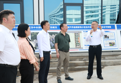 查俊督导城区重点项目