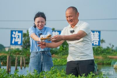 田园新曲｜小黄鳝游出百亿大产业