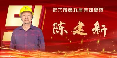 武穴市劳模风采展示：陈建新