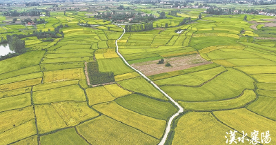 新高地 正崛起——襄阳锚定国家农高区目标全力冲刺