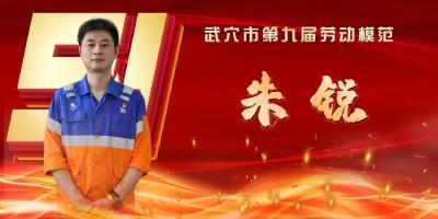 武穴市劳模风采展示：朱锐