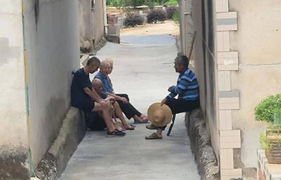 绘就生态画卷，共建幸福家园！泉塘社区成功垸的“焕新”之旅