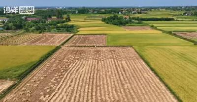 乡村振兴看荆门丨算出一笔“三赢”账