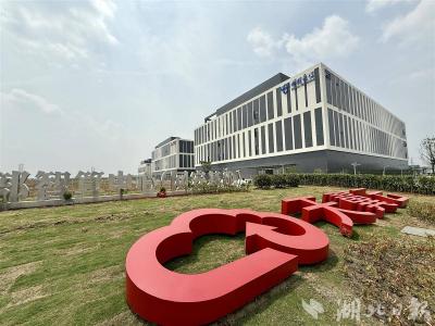 湖北领导干部为何集中学数据？