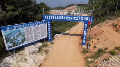 预计明年6月投用！湖北金福来100万羽蛋鸡项目双线推进