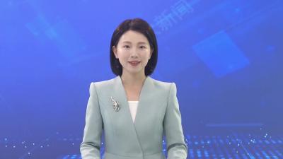 “武政通”软件项目暨全市数智督查平台建设情况汇报会召开