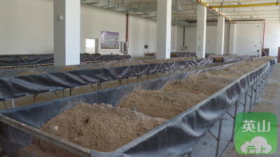 英山县特色产业发展促进中心：“三化”协同助力中药材产业提质增效