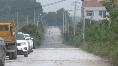 四望镇老武新线改造施工正酣 预计11月底全线完工