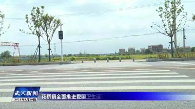 花桥镇全面推进爱国卫生运动，筑牢群众健康生活屏障