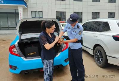 市民送来一只“受伤怪鸟”，经鉴定，竟是国家二级保护动物！