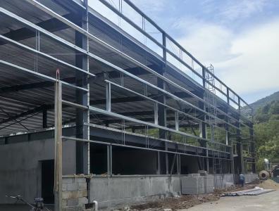 党建领航 产业强基，秀美木港绘就乡村振兴幸福画卷